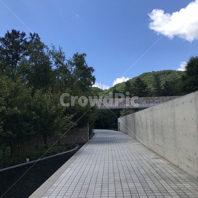 path,통로,walkway,bridge,건물,보도,다리,building,flagstone,판석