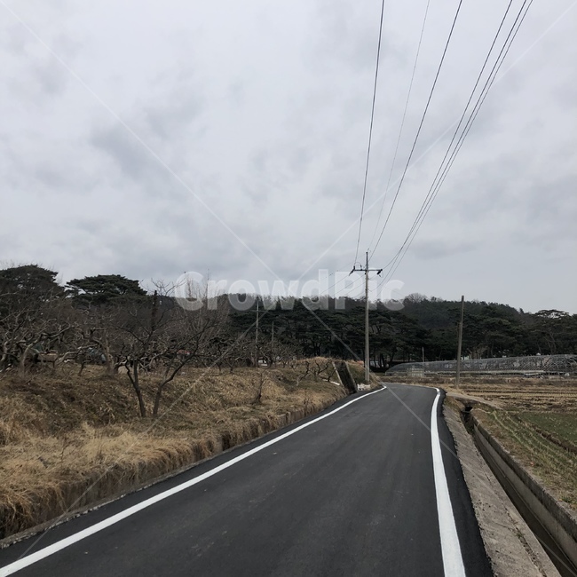 road,도로,asphalt,아스팔트,freeway,논길,분위기,흐림,구름,어둑어둑,어둠,길,시골,시골길
