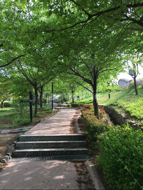 산책,길,걷기,그늘,초록,계단
