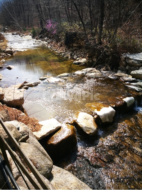 water,물,nature,작은만,자연,outdoors,흐름,stream,creek,옥외