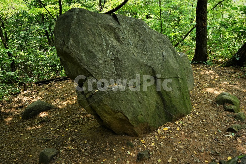 바위,숲,자연,안정감,rock,stable,woods,nature,자연,풍경,nature,landscape,록,ground,바닥,plant,식물,tree,나무