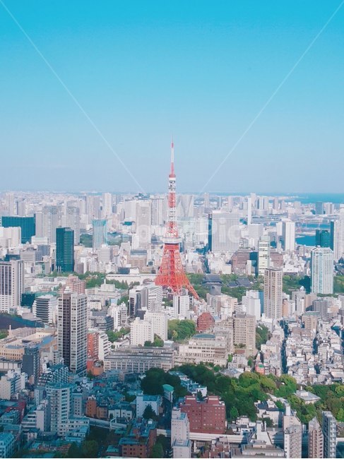 도시,풍경,도쿄타워,city,tower