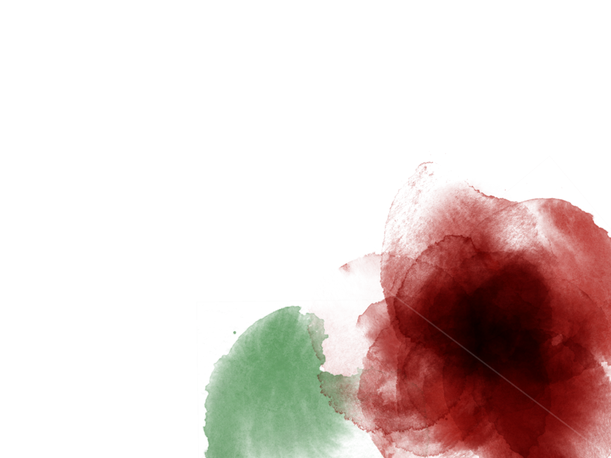 물감,수채화,워터컬러,미술,장미일러스트,ppt배경,배경,누끼,remove background,그래픽,일러스트레이션,graphic,illustration