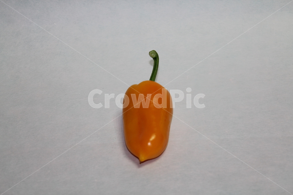 피망,애채,채소,식재료,신선식풍,음식료,신선,야채,음식,식재료,요리,food,cook,meal,dishes,food reserves,채소,야채,vegetables