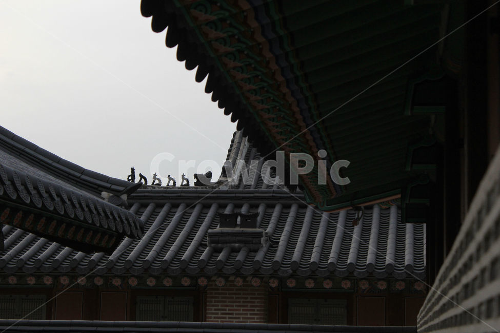 지붕,전통,한옥,어두운,건물,건축,쟂빛,building,architecture,tradition,한국전통,한국문화,korean traditional,korean culture,건축물,건물외관,exterior,building,structure,architecture,construction