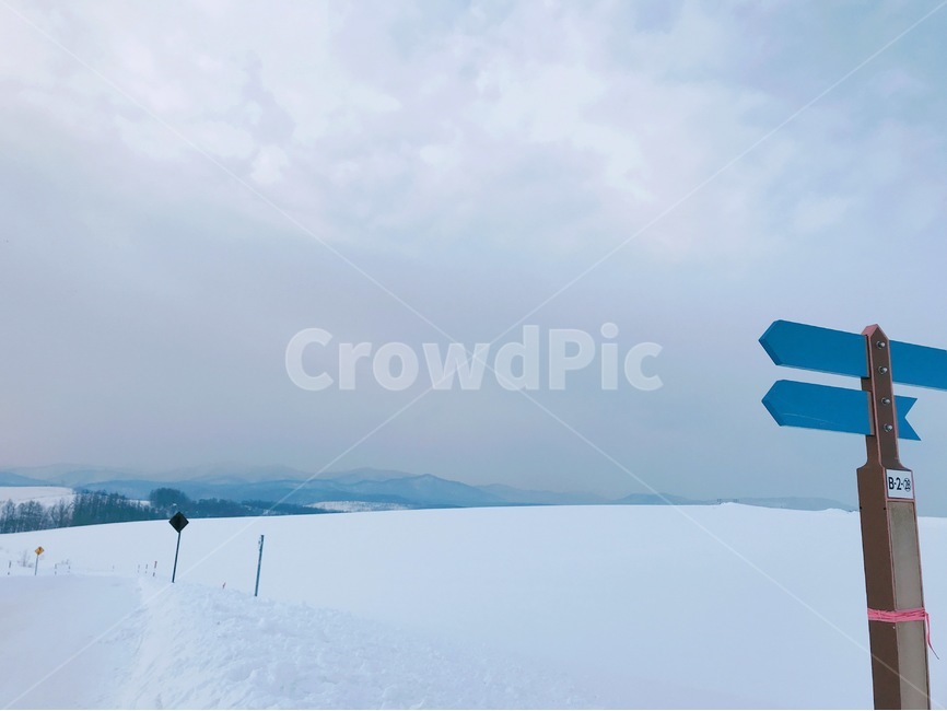 삿포로,겨울,비에이,눈,표지판,나무,sapporo,snow,tree,christmastree,biei,winter,nature,자연,일본,japan,배경,landscape,blue,겨울,계절,winter,season