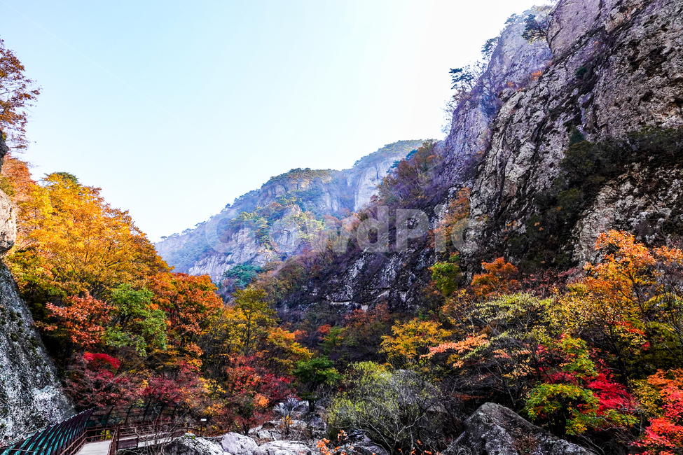 청송,경북,주왕산,절골계곡,단풍,가을,바위,자연