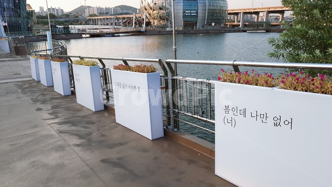 한강,강,반포,글귀,글