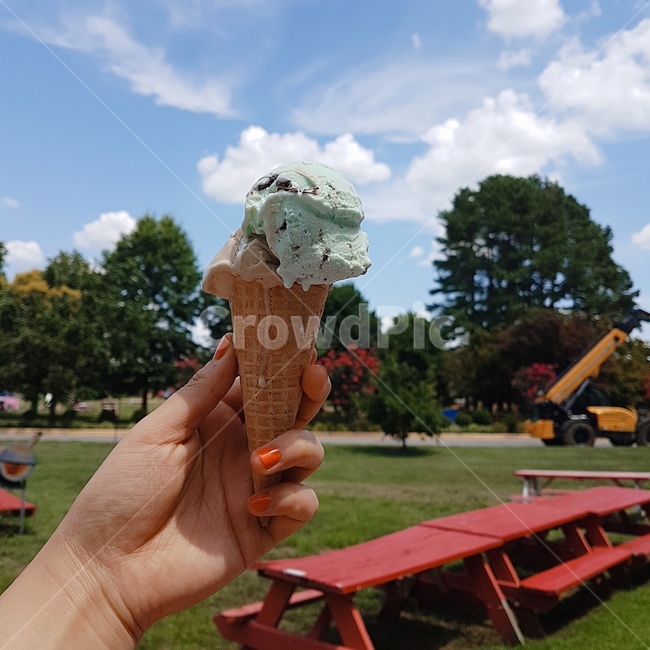 icecream,아이스크림,sky,blue,잔디,grass