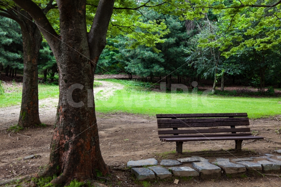 Olympic Park,pine tree,Hill,clouds,summer,cloud,trail,Seoul,Olympicpark,grass,Korea Park,meadow,KoreaPark,spare,sky,green,relaxation,tree,walkway,pinebamboo,grassland,seoul,bamboo,hill,Cloudstreesky
