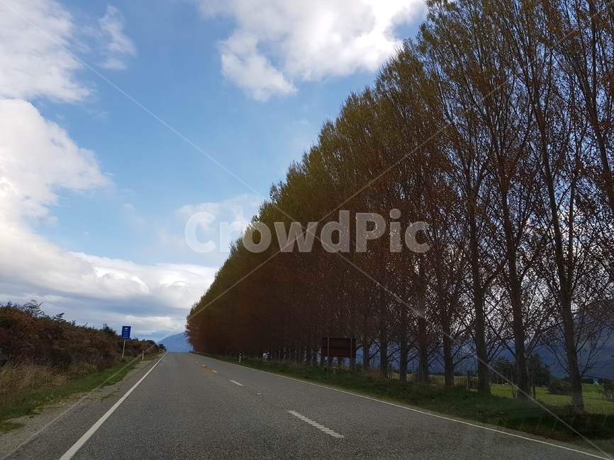 시원,길,뉴질랜드,도로,하늘,자연,풍경,nature,landscape,road,asphalt,아스팔트,highway,고속도로,freeway,고속 도로