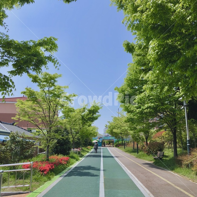 자연,풍경,산책,나무,운동,꽃,산책길,낮