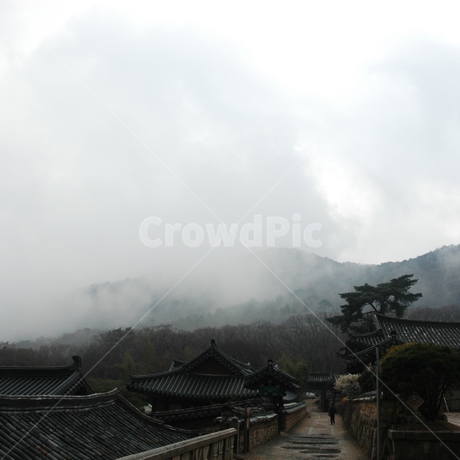산사,절,사찰,불교,법당,한국전통,한국문화,korean traditional,korean culture,건축물,건물외관,exterior,building,structure,architecture,construction
