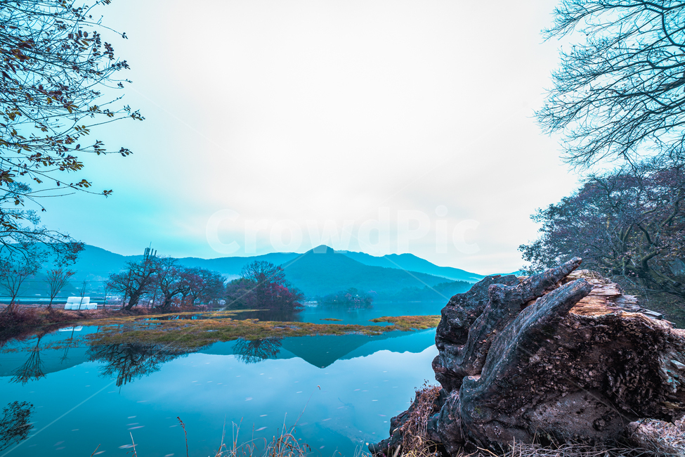 outdoors,nature,자연,water,위양지,호수