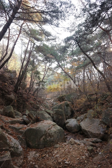 경주남산,골짜기,가을,가을산,낙엽,소나무,가을,계절,fall,autumn,season,자연,풍경,nature,landscape,rubble,파편,ground,바닥,slate,슬레이트