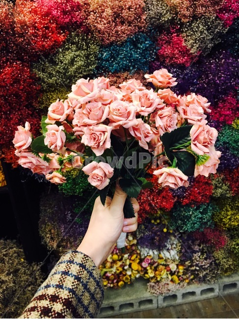 꽃다발,장미꽃,한다발,꽃향기,꽃선물