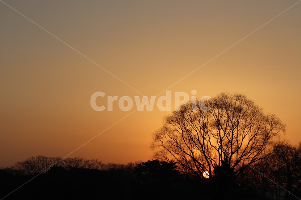 노을,새벽,하늘,나무,자연,풍경,바탕화면,경주,자연,풍경,nature,landscape,outdoors,옥외,dusk,황혼,sunset,일몰,sky,dawn,red sky,붉은 하늘