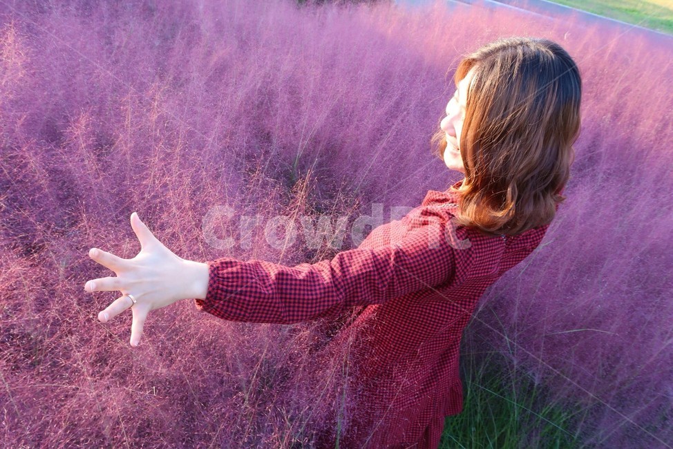 경주,핑크,핑크뮬리,분홍,pink,pinkmuli,pinkmuhly,가을,fall,autumn,human,인간,person,사람,여자,여인,숙녀,여성,아가씨,woman,girl,lady,miss,원피스,dress,드레스,소녀,color,색감,가을,계절,fall,autumn,season,여성,여자,woman,female,lady