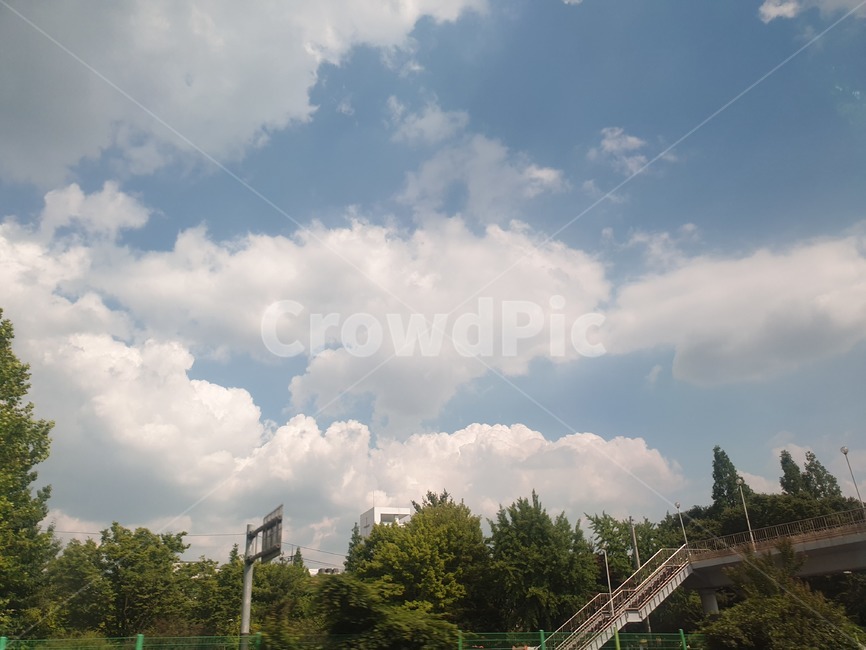 하늘,구름,풍경,맑음,날씨,흐림,흐린듯한,하늘색,나무,여유,햇살,높은,구름떼