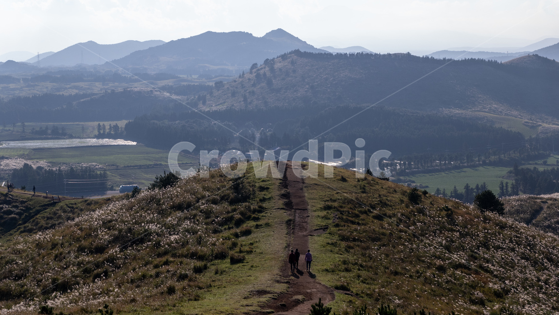 용눈이,용눈이오름,오름,orum,jeju,제주,제주도,제주오름,가을제주,가을,풍경,landscape,slope,경사,nature,자연,person,human,인간,사람,outdoors,옥외,자연,풍경,nature,landscape