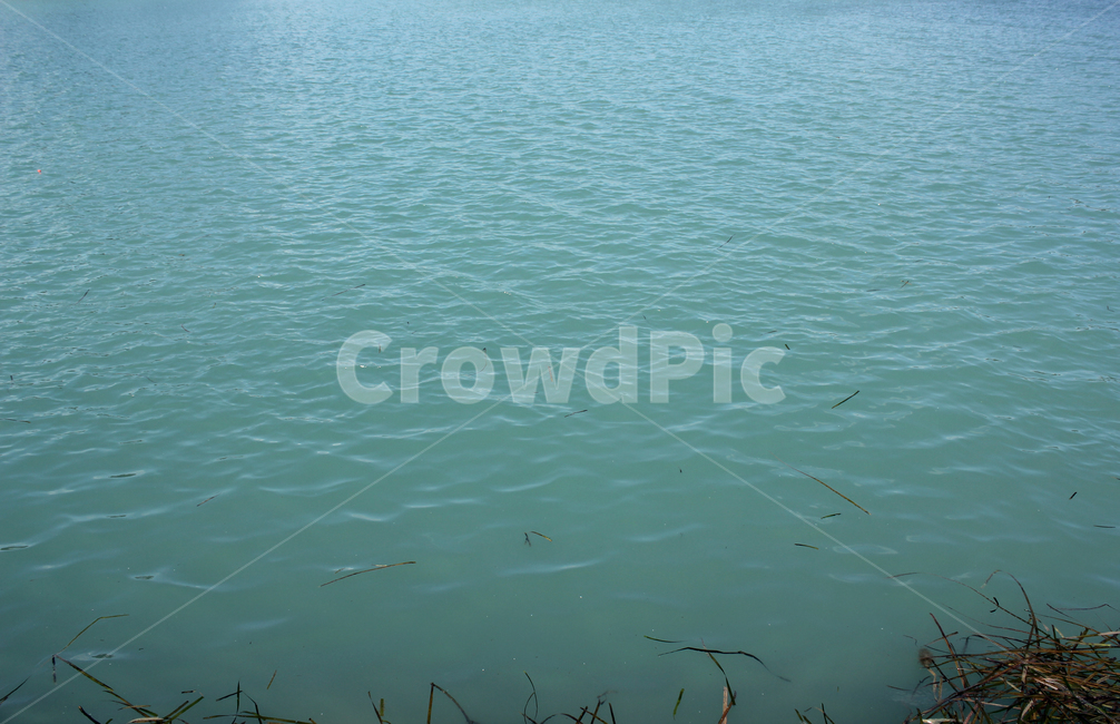 바다,낮바다,푸른바다,그린,에메랄드빛,파랑,블루,물결,blue,green,nature,ocean,ripples,sea,surface,water,wave,자연,물,웨이브,표면