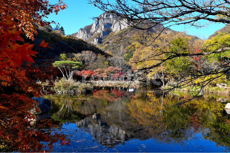 자연,물,옥외,단풍,백학봉,가을,가을,계절,fall,autumn,season