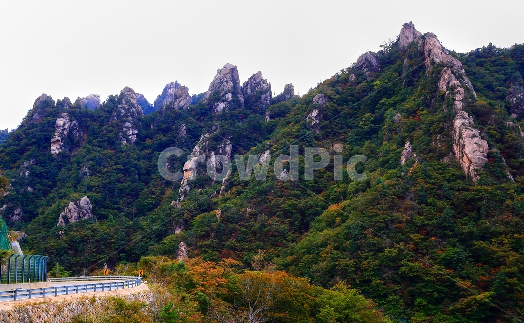 설악산,한계령,암릉,고개,흘림골,가을,계절,fall,autumn,season,자연,풍경,nature,landscape,한국자연풍경,한국자연경관,korea nature landscape,plant,식물,tree,나무,abies,아비,fir,전나무,outdoors,옥외