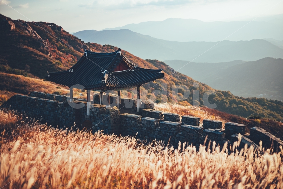황매산,억새,가을,노을,석양,가을,계절,fall,autumn,season,자연,풍경,nature,landscape,한국자연풍경,한국자연경관,korea nature landscape,한국전통,한국문화,korean traditional,korean culture,감성,sensible,feeling,outdoors,옥외