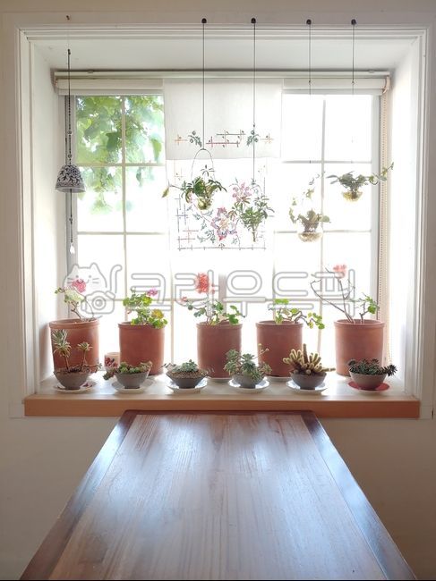 창문, window, 창턱, windowsill, 화분, 사진,이미지,일러스트,캘리그라피 - 랑콩작가