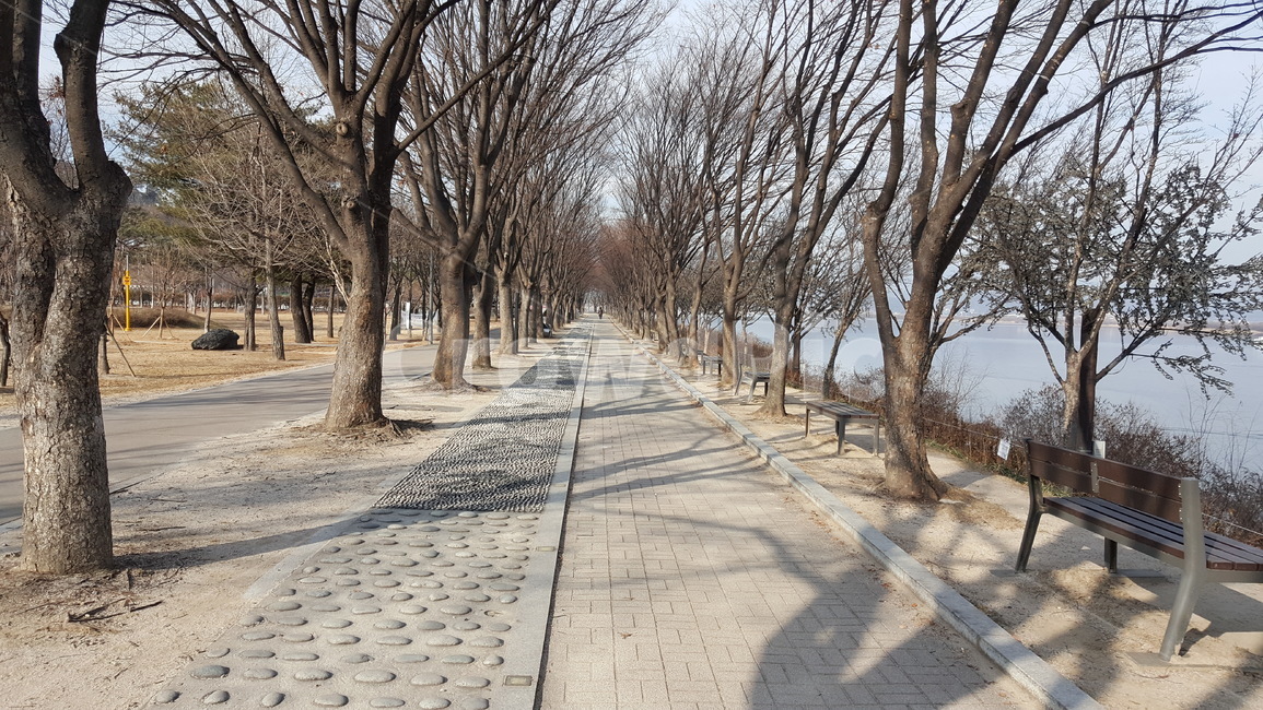 공원,유원지,겨울,겨울공원,산책로,나무,길,겨울,계절,winter,season,자연,풍경,nature,landscape,path,통로,walkway,보도,plant,식물,tree,sidewalk,pavement,포장,tree trunk,나무 줄기
