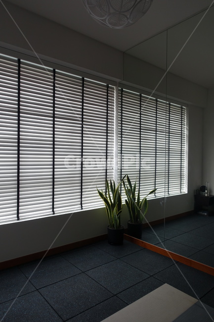 home decoration,mirror,homedecor,windowshade,window shade,plant,yogaroom,window,curtain