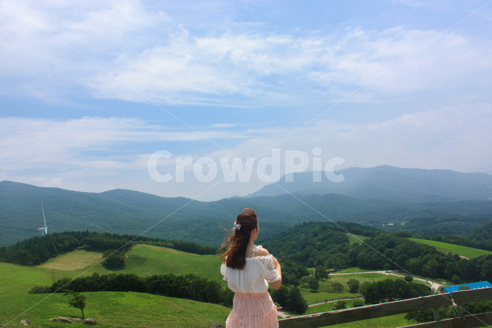 목장,강릉,사람,뒷모습,산,정상,여자,하늘,구름,시원함,바람,풍경,자연,사람,인물,인간,human,person,여성,여자,woman,female,lady,여행,휴가,traveling,vacation,trip