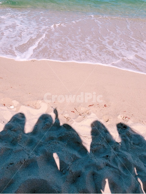 뒷모습,그림자,인물실루엣,우정,사람실루엣,바다,가을,사람,person,여성,여자,자연,풍경,배경,색감,핑크,rest,healing,female,woman,lady,friend,friendship,shoreline,해안선,sand,nature