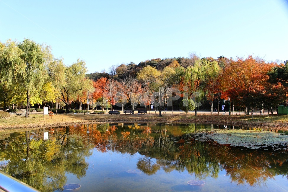 가을,호수,공원,자연,단풍,가을,계절,fall,autumn,season,자연,풍경,nature,landscape,한국자연풍경,한국자연경관,korea nature landscape,land,땅,outdoors,옥외,water,물