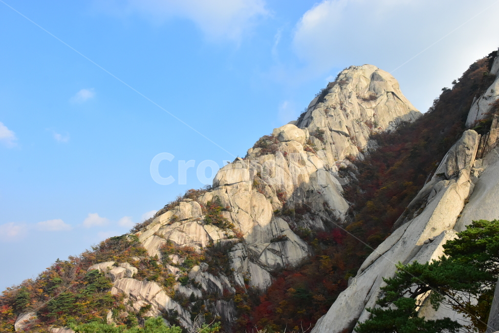 가을,단풍,자연,풍경,북한산,잎,단풍잎,붉은,나무,계절,계곡,숲,힐링,plant,fall,autumn,season,forestnature,landscape,한국자연풍경,한국자연경관,korea,tree,maple,leaf,가을,계절,fall,autumn,season,자연,풍경,nature,landscape,outdoors,옥외,mountain,산,cliff,낭떠러지