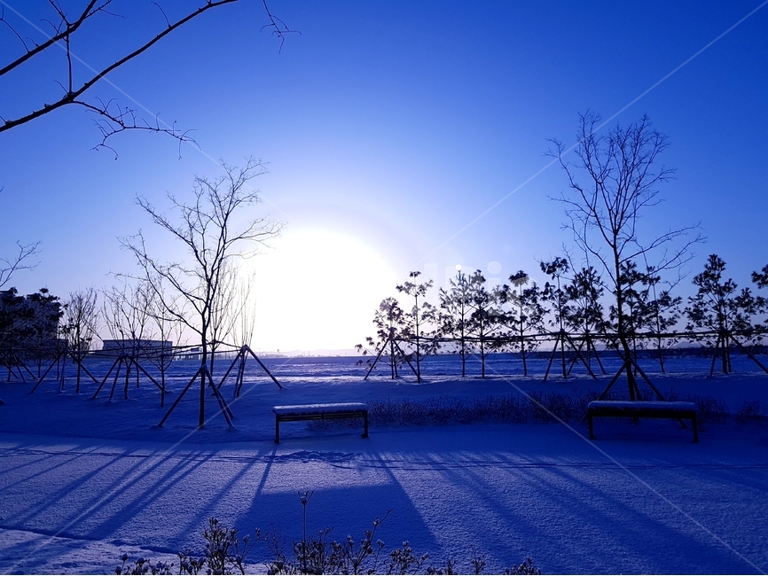 일출,해,풍경,자연,겨울,나무,겨울,계절,winter,season,자연,풍경,nature,landscape,outdoors,옥외