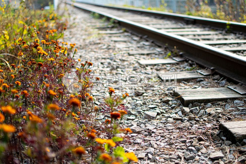 철길,철도,기차길,기차,gravel,자갈,road,도로,철로,선로,레일,rail,railroad,train,railway,transportation,교통