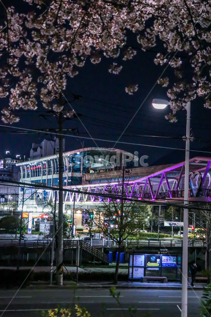 야경,도시,city,건물,도로,road