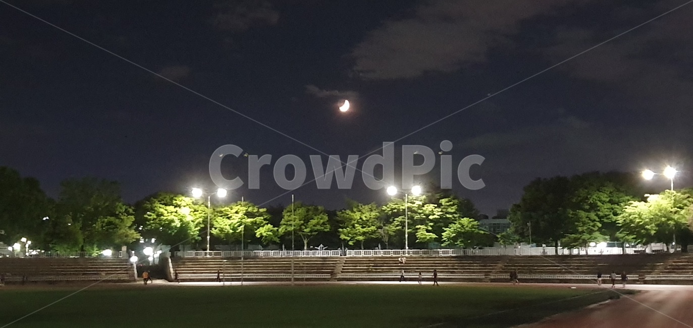 풍경,달,밤,초승달,운동장,계단,나무,골대,트랙,가로등,잔디,구름