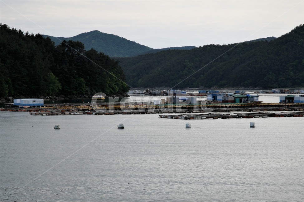 남해,바다,가두리,양식장,풍경,자연,풍경,nature,landscape,산업,industry,industrial,어업,fishery,fishing industry,water,물,land,땅,outdoors,옥외