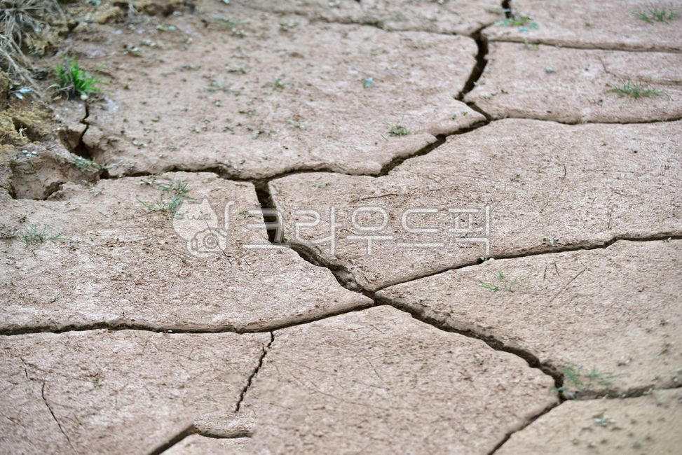 offshoot,cracked ground,nature,soil,split,field,outdoors,drought,dirt floor,ground,floor