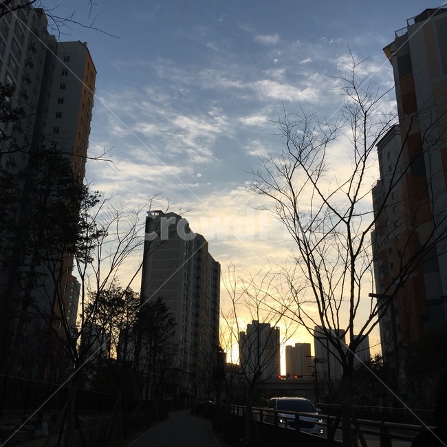 풍경,하늘,감성,역광,일출,도시,풍경,city,landscape,한국도시풍경,한국도시경관,korea cityscape,office building,사무실 건물,building,건물