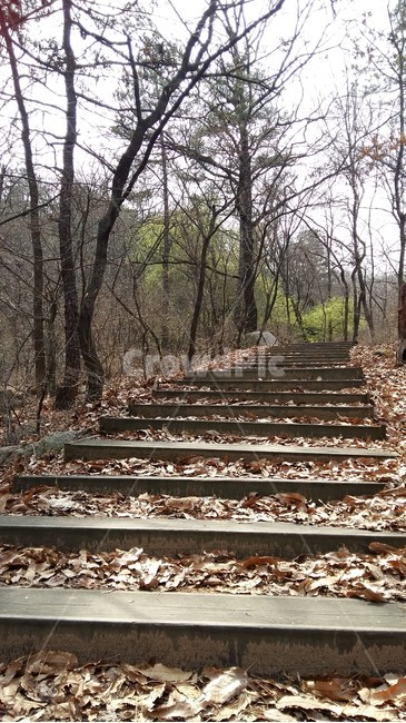 봄,봄풍경,봄산,봄계단,봄숲