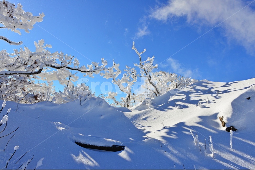 전북,무주,설천면,향적봉,겨울,설경,상고대,운해,outdoors,옥외,nature,자연,mountain,산,ice,빙,snow,눈,glacier,빙하,겨울,계절,winter,season