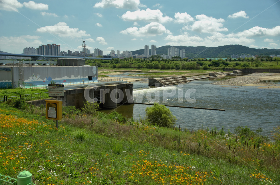 세종보,4대강보,수문,금강,개방,수질,도시,풍경,city,landscape,한국도시풍경,한국도시경관,korea cityscape,nature,자연,outdoors,옥외,water,물