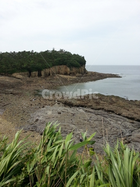 나무,바다,바닷가,해변,대한민국,자연,풍경,nature,landscape,한국자연풍경,한국자연경관,korea nature landscape,해변,바다,beach,sea,promontory,곶,plant,식물,outdoors,옥외,land,땅