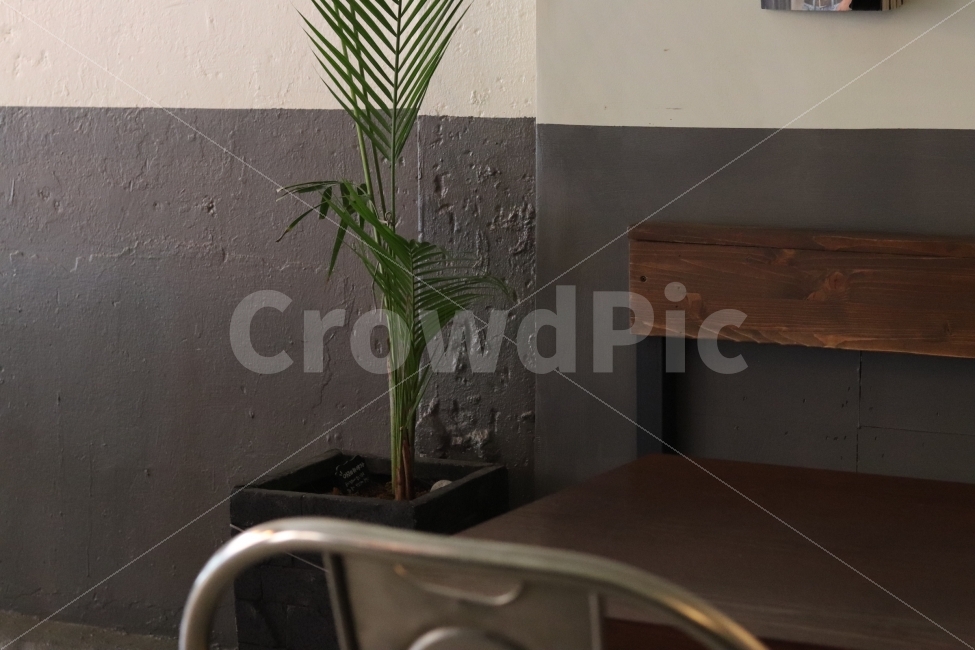 감성,의자,화분,실내,인테리어,벽,식물,자연,plants,nature,실내용화초,화분,화초,house plant,인테리어,실내디자인,interior design