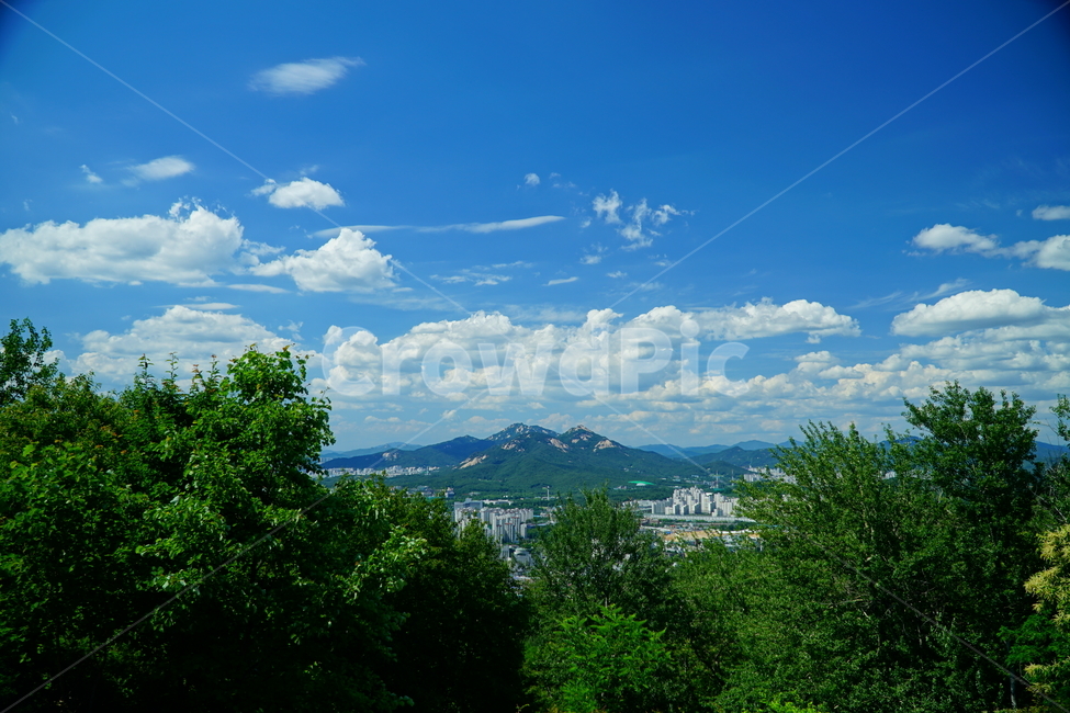 자연,하늘,구름,나무,풍경,nature,sky,cloud,tree,landscape,경치,scenery,scene,view,한국,서울,한국자연,korea,seoul,산책,6월,june,도시,건물,빌딩,citi,시티,전경