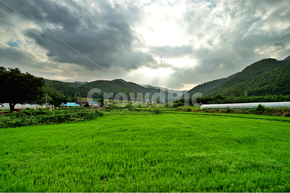 구름,전원,농사,논,산,시골,마을,풍경,landscape,country,rural,town
