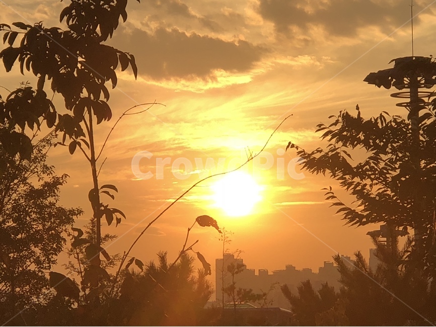 잠실한강,새벽감성,한강,일출,주황색,자연,풍경,nature,landscape,도시,city,sunlight,햇빛,light,빛,flare,플레어,outdoors,옥외